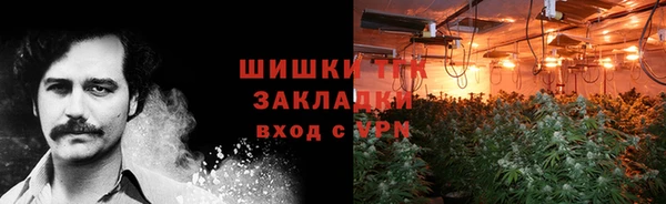 PSILOCYBIN Алексеевка
