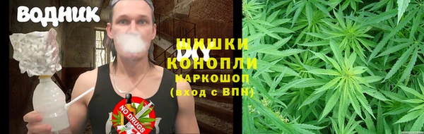 PSILOCYBIN Алексеевка