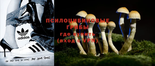 PSILOCYBIN Алексеевка