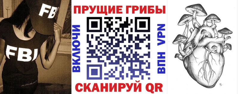 Галлюциногенные грибы MAGIC MUSHROOMS  как найти закладки  Осташков 